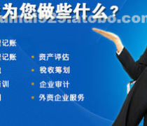 稅務(wù)財務(wù)咨詢 專業(yè)服務(wù)助力企業(yè)高效發(fā)展