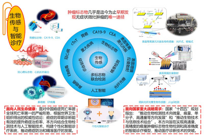 信息學(xué)院王琦教授成功獲批國(guó)家科技重大專項(xiàng)，聚焦信息科技前沿技術(shù)開(kāi)發(fā)
