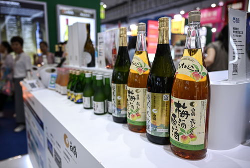 在消博會(huì)感受海南自貿(mào)港的“國際范”酒類經(jīng)營